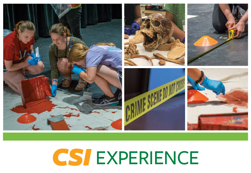 CSI Experience CSI Experience